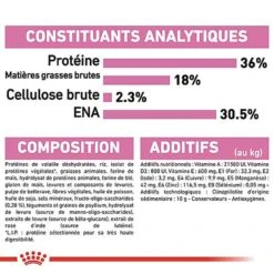Royal Canin - Croquettes Kitten Pour Chaton -Chats Chiens Articles Magasin 66739