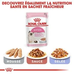Royal Canin - Croquettes Kitten Pour Chaton -Chats Chiens Articles Magasin 66740
