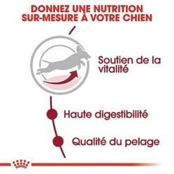 Royal Canin - Croquettes Medium Adulte 7+ Pour Chien 14 Royal Canin - Croquettes Medium Adulte 7+ Pour Chien -Chats Chiens Articles Magasin 66802