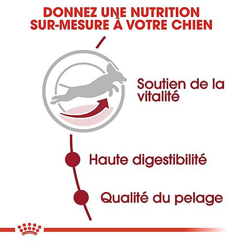 Royal Canin - Croquettes Medium Adulte 7+ Pour Chien 7 Royal Canin - Croquettes Medium Adulte 7+ Pour Chien – Image 5