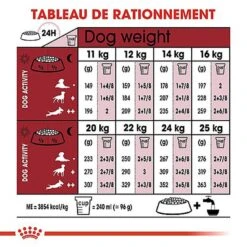 Royal Canin - Croquettes Medium Adulte 7+ Pour Chien 16 Royal Canin - Croquettes Medium Adulte 7+ Pour Chien -Chats Chiens Articles Magasin 66803