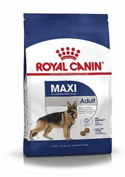 Royal Canin - Croquettes Maxi Adult Pour Chien