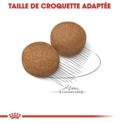 Royal Canin - Croquettes Maxi Adult Pour Chien -Chats Chiens Articles Magasin 66830