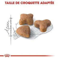 Royal Canin - Croquettes Sensible 33 Pour Chat Adulte 16 Royal Canin - Croquettes Sensible 33 Pour Chat Adulte -Chats Chiens Articles Magasin 66847