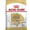 Royal Canin - Croquettes Labrador Pour Chien Adulte -Chats Chiens Articles Magasin 67028