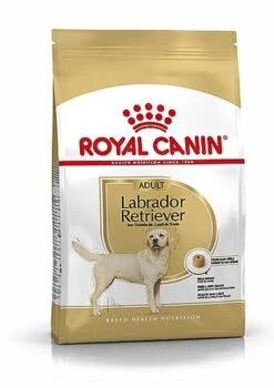 Meilleures ventes 2 Royal Canin - Croquettes Labrador Pour Chien Adulte