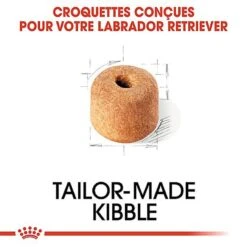Royal Canin - Croquettes Labrador Pour Chien Adulte -Chats Chiens Articles Magasin 67031
