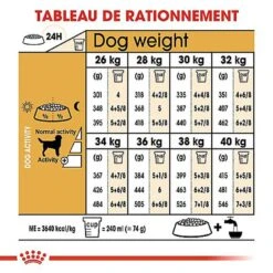Royal Canin - Croquettes Labrador Pour Chien Adulte -Chats Chiens Articles Magasin 67033