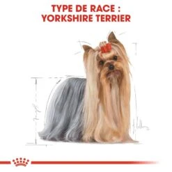 Royal Canin - Croquettes Yorkshire Terrier Pour Chien Adulte 15 Royal Canin - Croquettes Yorkshire Terrier Pour Chien Adulte -Chats Chiens Articles Magasin 67075