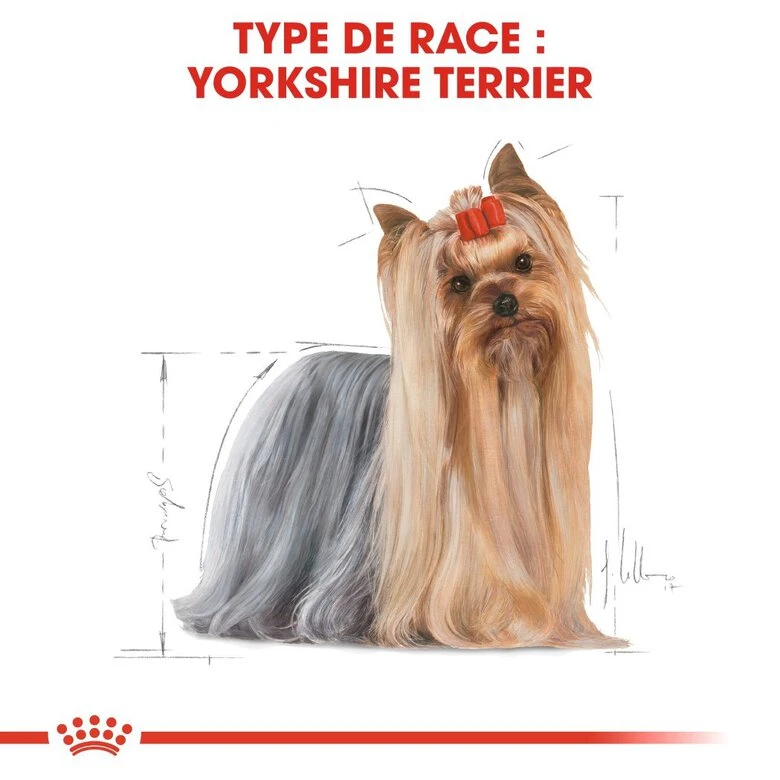 Royal Canin - Croquettes Yorkshire Terrier Pour Chien Adulte 6 Royal Canin - Croquettes Yorkshire Terrier Pour Chien Adulte – Image 4