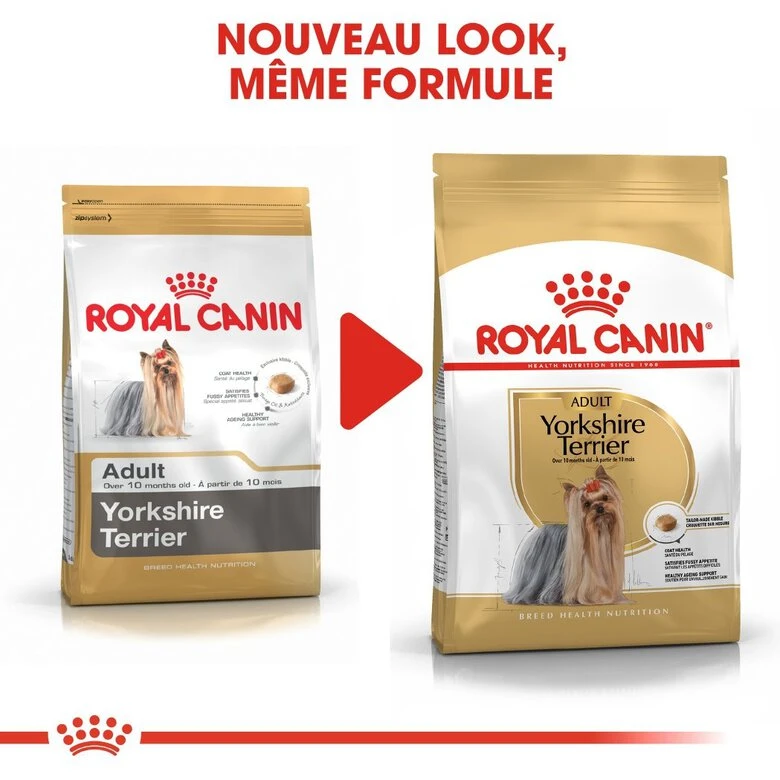 Royal Canin - Croquettes Yorkshire Terrier Pour Chien Adulte 10 Royal Canin - Croquettes Yorkshire Terrier Pour Chien Adulte – Image 8