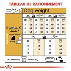 Royal Canin - Croquettes Yorkshire Terrier Pour Chien Adulte 20 Royal Canin - Croquettes Yorkshire Terrier Pour Chien Adulte -Chats Chiens Articles Magasin 67081