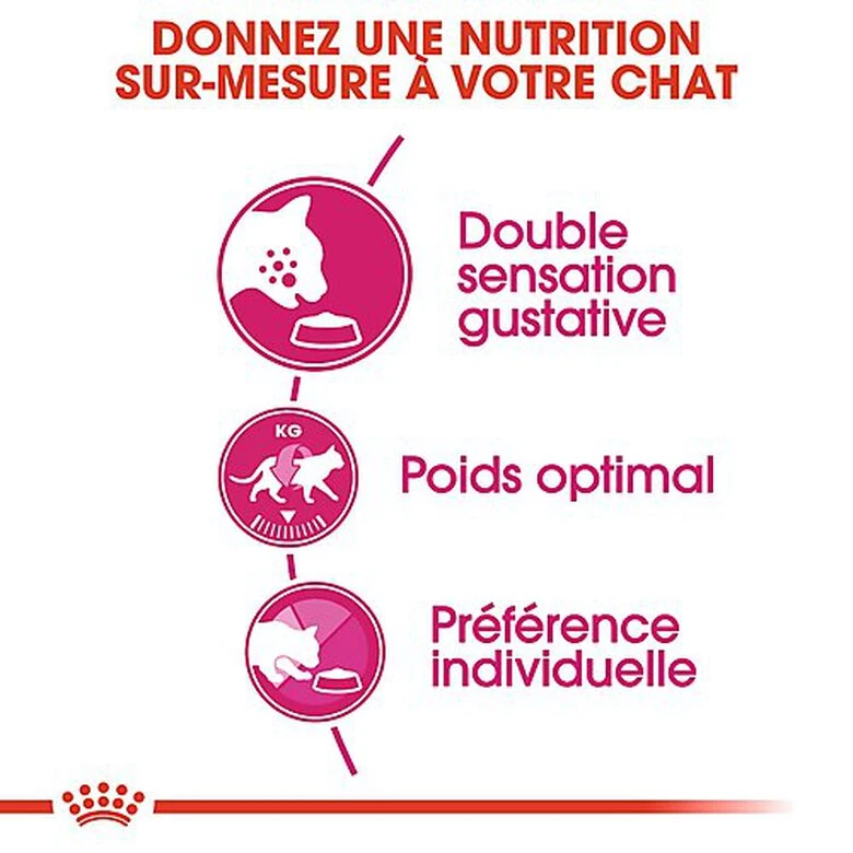 Royal Canin - Croquettes Savour Exigent Pour Chat 6 Royal Canin - Croquettes Savour Exigent Pour Chat – Image 4