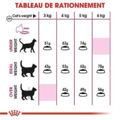 Royal Canin - Croquettes Savour Exigent Pour Chat 15 Royal Canin - Croquettes Savour Exigent Pour Chat -Chats Chiens Articles Magasin 67086