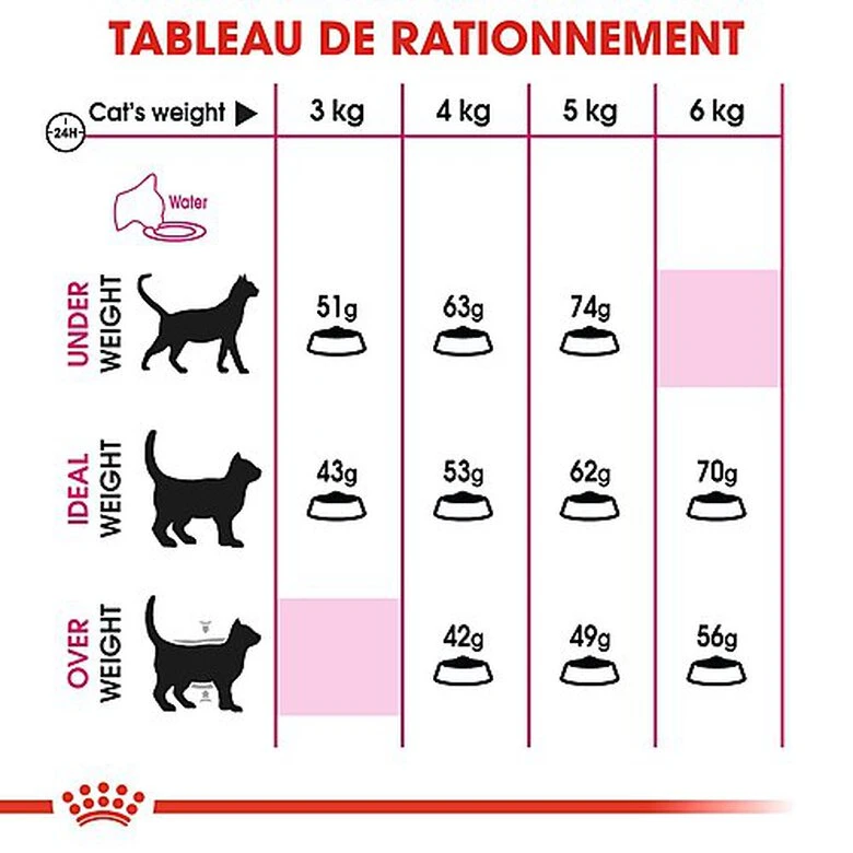 Royal Canin - Croquettes Savour Exigent Pour Chat 8 Royal Canin - Croquettes Savour Exigent Pour Chat – Image 6