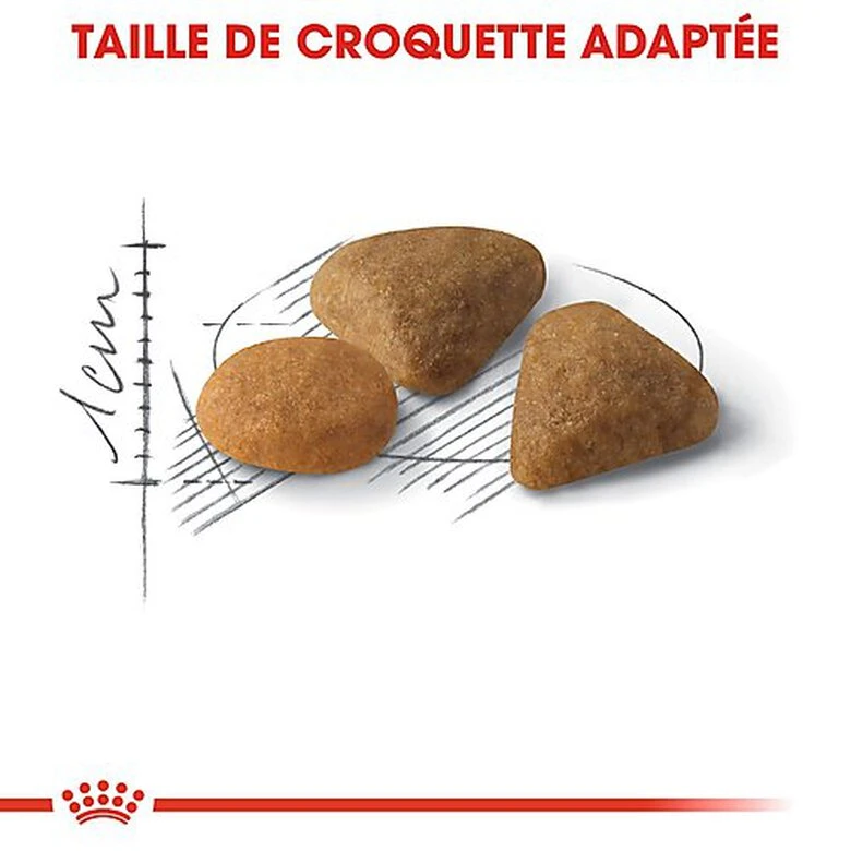 Royal Canin - Croquettes Savour Exigent Pour Chat 7 Royal Canin - Croquettes Savour Exigent Pour Chat – Image 5