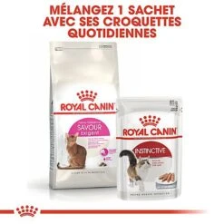 Royal Canin - Croquettes Savour Exigent Pour Chat 16 Royal Canin - Croquettes Savour Exigent Pour Chat -Chats Chiens Articles Magasin 67088
