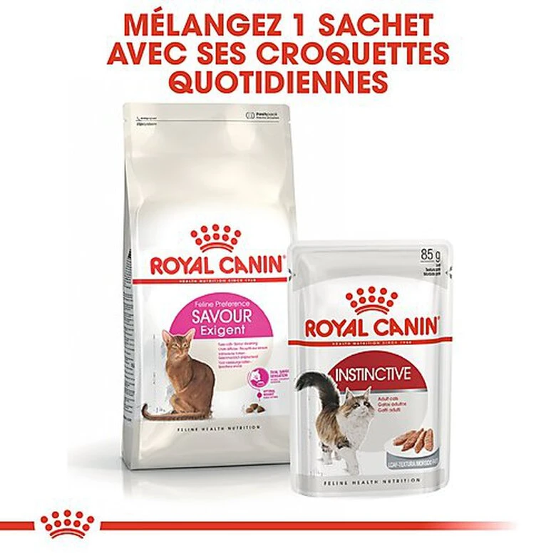 Royal Canin - Croquettes Savour Exigent Pour Chat 9 Royal Canin - Croquettes Savour Exigent Pour Chat – Image 7