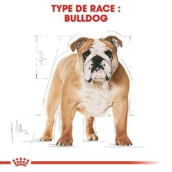 Royal Canin - Croquettes Bulldog Pour Chien Adulte 10 Royal Canin - Croquettes Bulldog Pour Chien Adulte -Chats Chiens Articles Magasin 67118