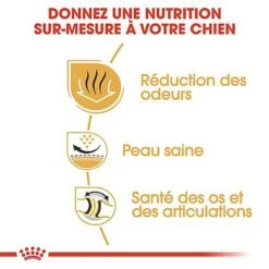 Royal Canin - Croquettes Bulldog Pour Chien Adulte 13 Royal Canin - Croquettes Bulldog Pour Chien Adulte -Chats Chiens Articles Magasin 67121