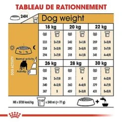 Royal Canin - Croquettes Bulldog Pour Chien Adulte 14 Royal Canin - Croquettes Bulldog Pour Chien Adulte -Chats Chiens Articles Magasin 67122