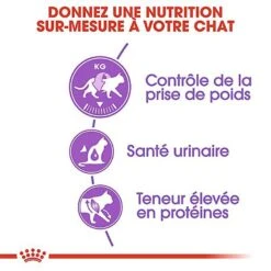 Royal Canin - Croquettes Sterilised 37 Pour Chat 19 Royal Canin - Croquettes Sterilised 37 Pour Chat -Chats Chiens Articles Magasin 67230