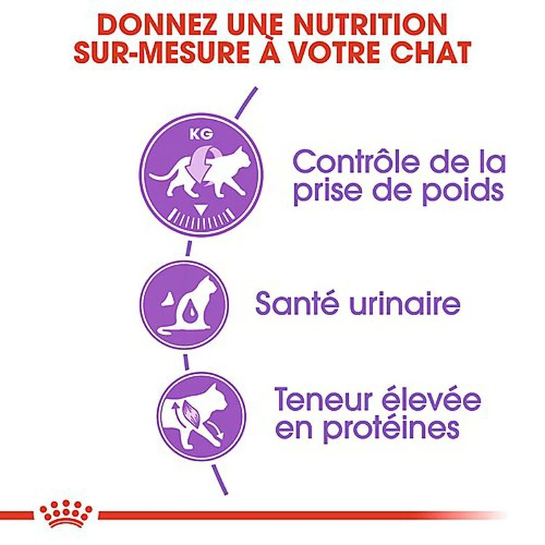 Royal Canin - Croquettes Sterilised 37 Pour Chat 9 Royal Canin - Croquettes Sterilised 37 Pour Chat – Image 7