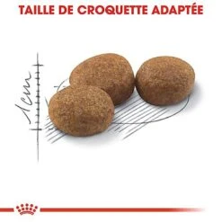 Royal Canin - Croquettes Sterilised 37 Pour Chat 20 Royal Canin - Croquettes Sterilised 37 Pour Chat -Chats Chiens Articles Magasin 67231