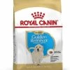 Royal Canin - Croquettes Golden Retriever Junior Pour Chiot -Chats Chiens Articles Magasin 67327
