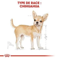 Royal Canin - Croquettes Chihuahua Pour Chien Adulte 12 Royal Canin - Croquettes Chihuahua Pour Chien Adulte -Chats Chiens Articles Magasin 67347