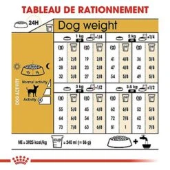Royal Canin - Croquettes Chihuahua Pour Chien Adulte 16 Royal Canin - Croquettes Chihuahua Pour Chien Adulte -Chats Chiens Articles Magasin 67352