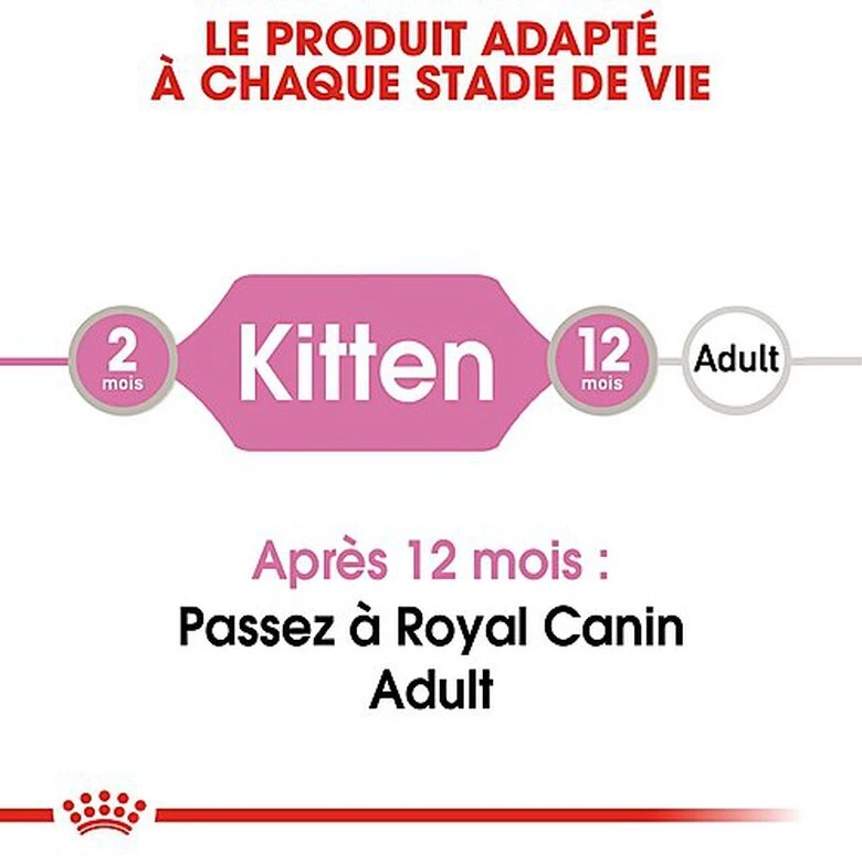 Royal Canin - Sachets Kitten Instinctive En Sauce Pour Chat - 12x85g 5 Royal Canin - Sachets Kitten Instinctive En Sauce Pour Chat - 12x85g – Image 3