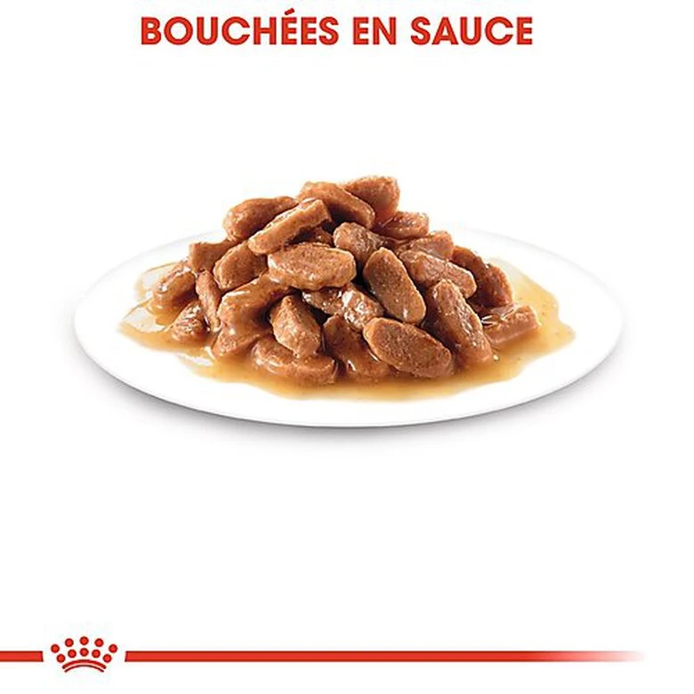 Royal Canin - Sachets Kitten Instinctive En Sauce Pour Chat - 12x85g 7 Royal Canin - Sachets Kitten Instinctive En Sauce Pour Chat - 12x85g – Image 5