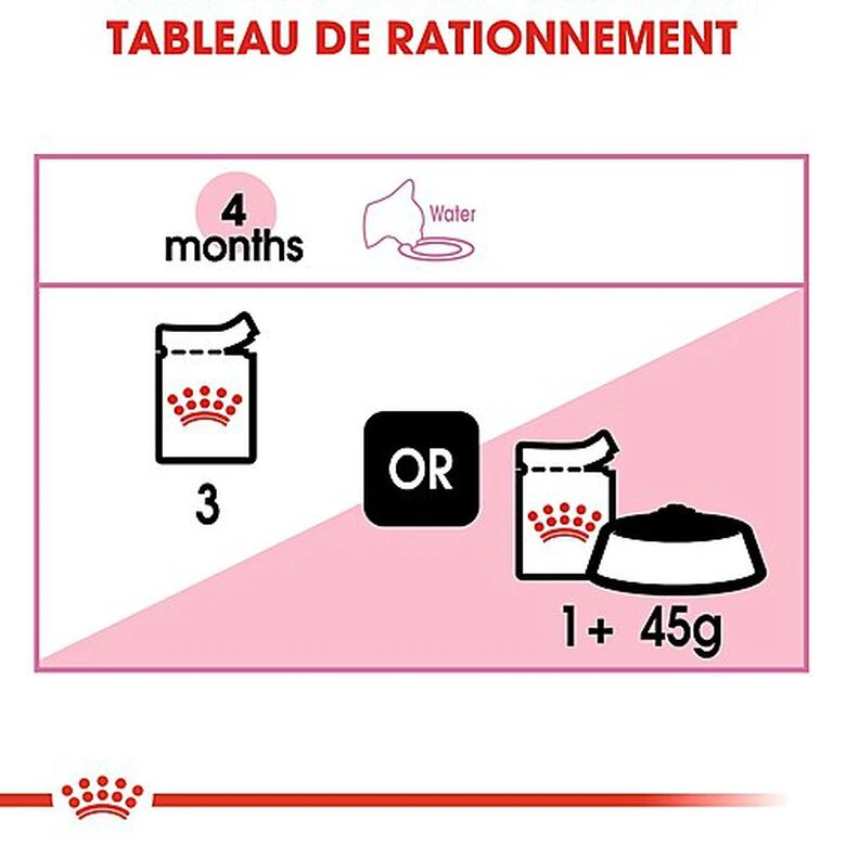 Royal Canin - Sachets Kitten Instinctive En Sauce Pour Chat - 12x85g 8 Royal Canin - Sachets Kitten Instinctive En Sauce Pour Chat - 12x85g – Image 6