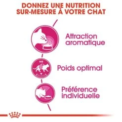 Royal Canin - Croquettes Aroma Exigent Pour Chat - 2Kg -Chats Chiens Articles Magasin 67417