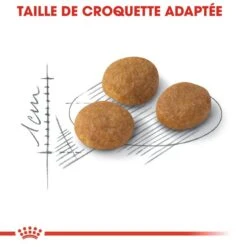 Royal Canin - Croquettes Aroma Exigent Pour Chat - 2Kg -Chats Chiens Articles Magasin 67418
