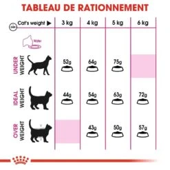 Royal Canin - Croquettes Aroma Exigent Pour Chat - 2Kg -Chats Chiens Articles Magasin 67419