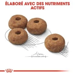 Royal Canin - Croquettes Medium Sterilised Pour Chien Stérilisé - 3Kg 14 Royal Canin - Croquettes Medium Sterilised Pour Chien Stérilisé - 3Kg -Chats Chiens Articles Magasin 67580