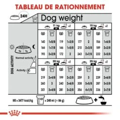 Royal Canin - Croquettes Medium Sterilised Pour Chien Stérilisé - 3Kg 16 Royal Canin - Croquettes Medium Sterilised Pour Chien Stérilisé - 3Kg -Chats Chiens Articles Magasin 67582