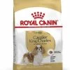 Royal Canin - Croquettes Cavalier King Charles Pour Chien Adulte -Chats Chiens Articles Magasin 67591