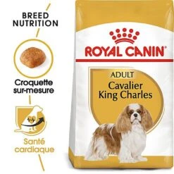 Royal Canin - Croquettes Cavalier King Charles Pour Chien Adulte 15 Royal Canin - Croquettes Cavalier King Charles Pour Chien Adulte -Chats Chiens Articles Magasin 67593