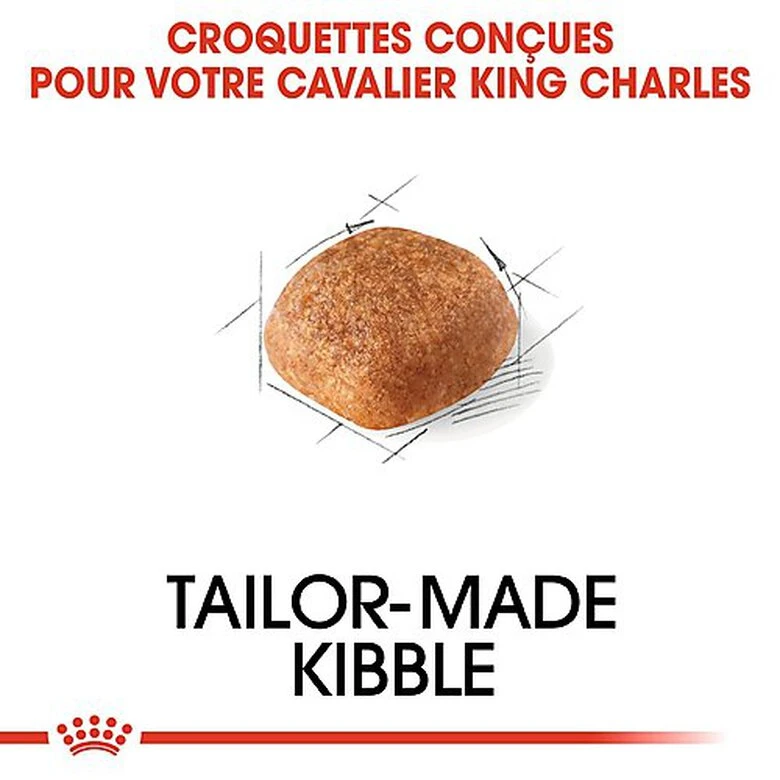 Royal Canin - Croquettes Cavalier King Charles Pour Chien Adulte 8 Royal Canin - Croquettes Cavalier King Charles Pour Chien Adulte – Image 6