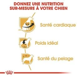 Royal Canin - Croquettes Cavalier King Charles Pour Chien Adulte 17 Royal Canin - Croquettes Cavalier King Charles Pour Chien Adulte -Chats Chiens Articles Magasin 67595