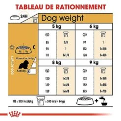 Royal Canin - Croquettes Cavalier King Charles Pour Chien Adulte 18 Royal Canin - Croquettes Cavalier King Charles Pour Chien Adulte -Chats Chiens Articles Magasin 67596