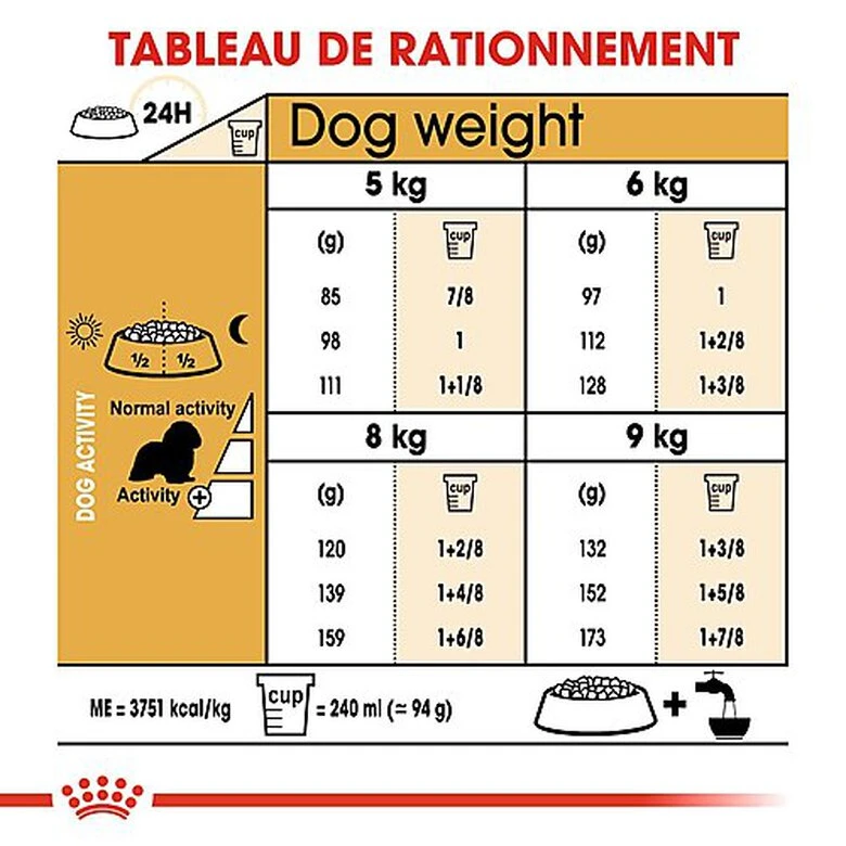 Royal Canin - Croquettes Cavalier King Charles Pour Chien Adulte 10 Royal Canin - Croquettes Cavalier King Charles Pour Chien Adulte – Image 8