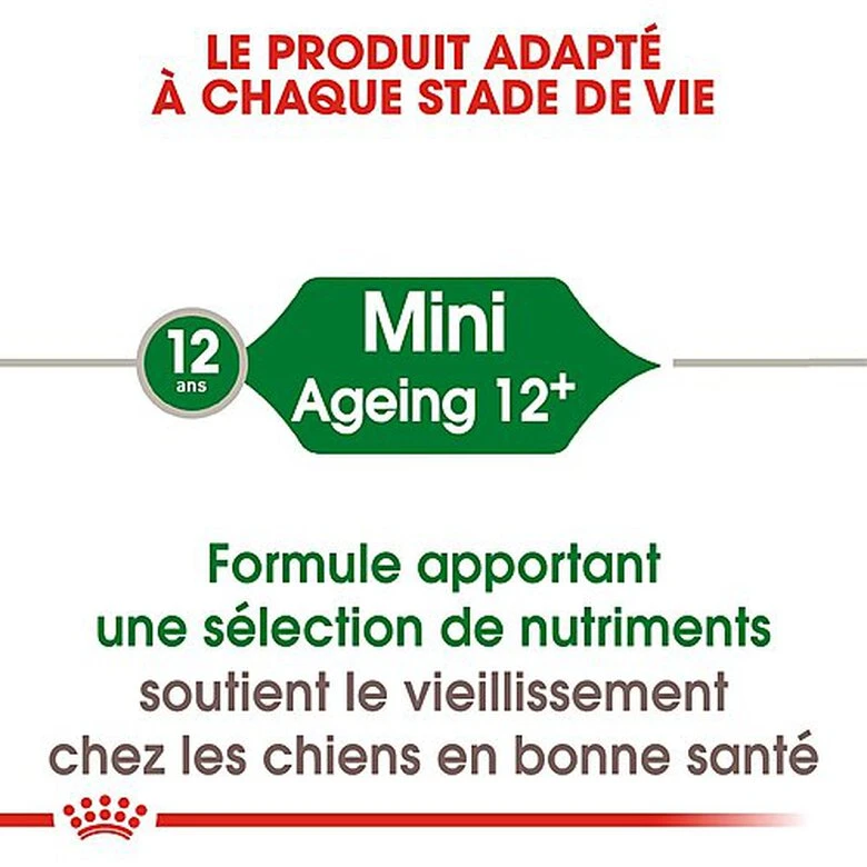 Royal Canin - Croquettes Mini Ageing 12+ Pour Chien Senior - 1,5Kg 5 Royal Canin - Croquettes Mini Ageing 12+ Pour Chien Senior - 1,5Kg – Image 3