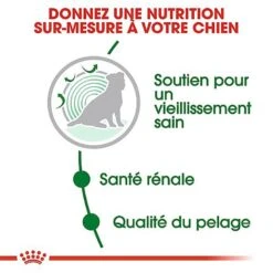 Royal Canin - Croquettes Mini Ageing 12+ Pour Chien Senior - 1,5Kg 12 Royal Canin - Croquettes Mini Ageing 12+ Pour Chien Senior - 1,5Kg -Chats Chiens Articles Magasin 67639