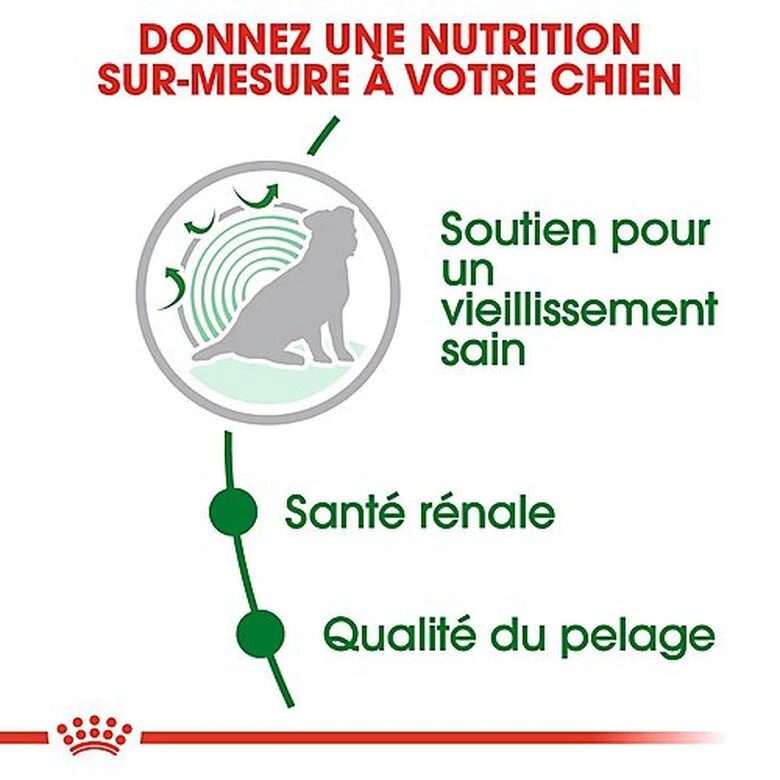 Royal Canin - Croquettes Mini Ageing 12+ Pour Chien Senior - 1,5Kg 6 Royal Canin - Croquettes Mini Ageing 12+ Pour Chien Senior - 1,5Kg – Image 4