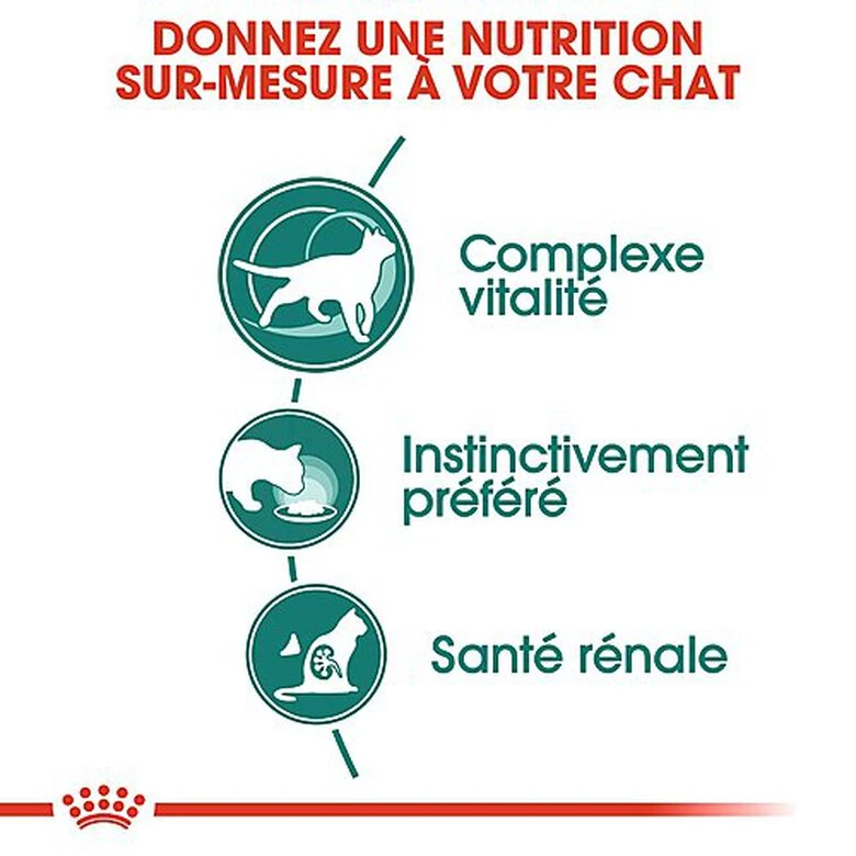 Royal Canin - Sachets Instinctive 7+ En Sauce Pour Chat - 12x85g 5 Royal Canin - Sachets Instinctive 7+ En Sauce Pour Chat - 12x85g – Image 3