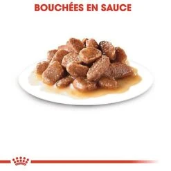 Royal Canin - Sachets Instinctive 7+ En Sauce Pour Chat - 12x85g 12 Royal Canin - Sachets Instinctive 7+ En Sauce Pour Chat - 12x85g -Chats Chiens Articles Magasin 67660